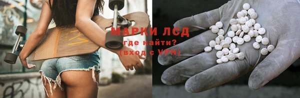 гидропоника Алзамай