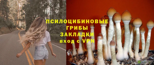 прущий лед Алексеевка