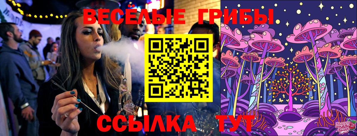 Курчалой  Псилоцибиновые грибы мицелий  Вход с VPN 